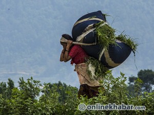 मेरी आमा