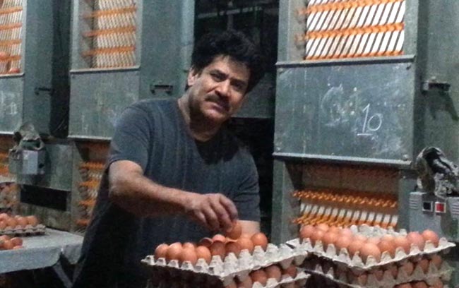 सरोज खनालले भूकम्प पिडितलाई २० हजार अण्डा दिने