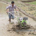 बसाइँसराइले रित्तिँदै गाउँ, गोरुको ठाउँमा किसानलाई कृषि औजार