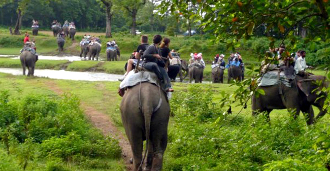 चितवन राष्ट्रिय निकुञ्ज घुम्नेको ओइरो