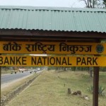 बाँके निकुञ्जमा भौतिक पूर्वाधारमा लगानी बढाउन पर्यटन व्यवसायीहरूको आग्रह