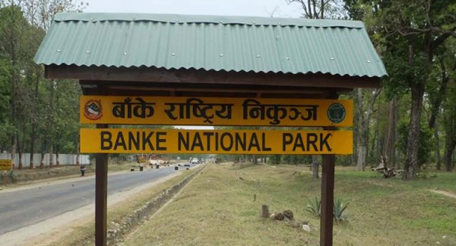Banke-National-Park