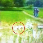 थमन विक हत्या प्रकरणमा उच्चको फैसला : तीनको जन्मकैद सदर, ६ जनालाई ५ वर्ष कैद