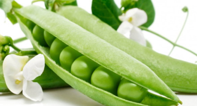 मकै बोडी र मटरकोसाको भाउ बढ्यो