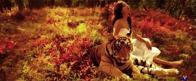 ‘सुपरहिट’मा बाघसँग बिनिता