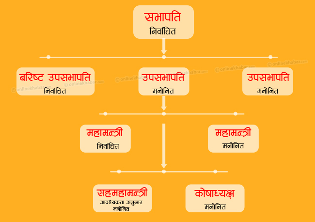 Congress Protfolio Chart(1)