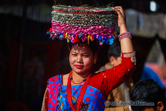 Maghi Festival 2072 (14)