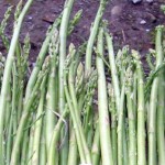 कुरिलो किलोको २ हजार