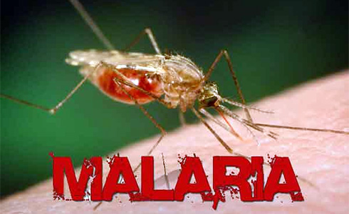 ६ अफ्रिकी मुलुक मलेरियामुक्त हुने