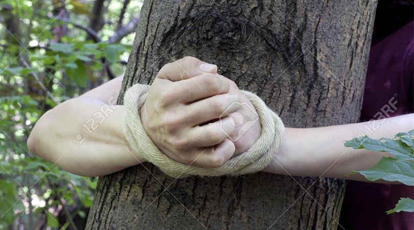 Tied-to-tree