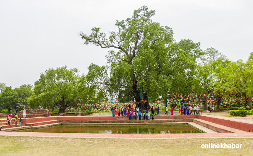 Lumbini (20)