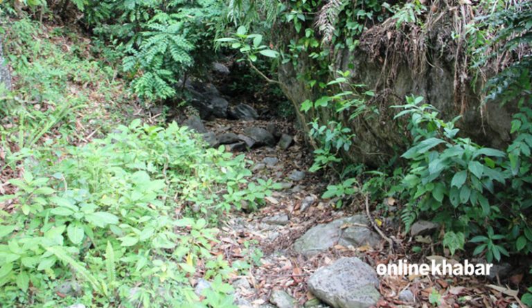 महोत्तरीमा फागुनमै सुक्न लागे खानेपानीका मुहान