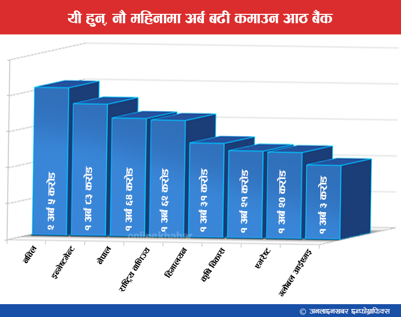 यी हुन्, नौ महिनामै अर्ब बढी कमाउने आठ बैंक