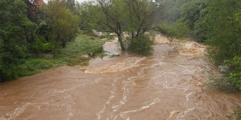 भोटेकोशीमा बाढी, स्थानीयलाई सुरक्षित स्थानमा सारियो