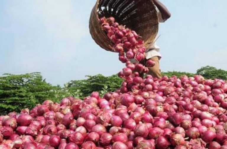 भारतले रोकेपछि नेपालमा चीनबाट भित्रिन थाल्यो प्याज