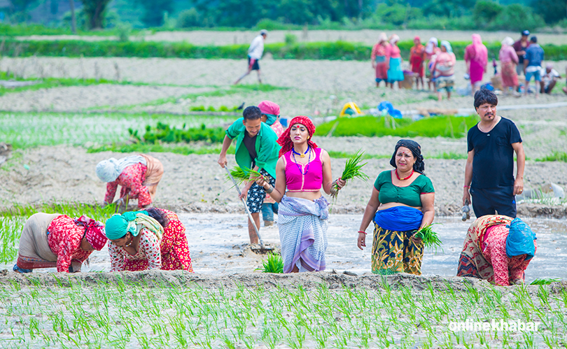 priyanka deepak khet ropdai