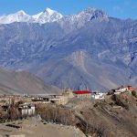 चालु आर्थिक वर्षको १५ जेठसम्म लेक लागेर ९ विदेशीसहित १३ जनाको मृत्यु