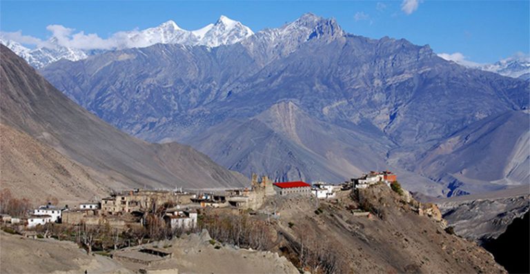 चालु आर्थिक वर्षको १५ जेठसम्म लेक लागेर ९ विदेशीसहित १३ जनाको मृत्यु