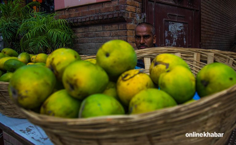 आँप खाँदै हुनुहुन्छ ? स्वादिष्ट र विषादिरहित चिन्नुहोस् !