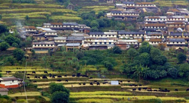 पर्यापर्यटन र प्राचीन संस्कृतिको आकर्षण बन्दै ताङतिङ