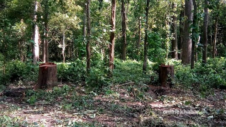 वैज्ञानिक वन व्यवस्थापन कार्यक्रम खारेज