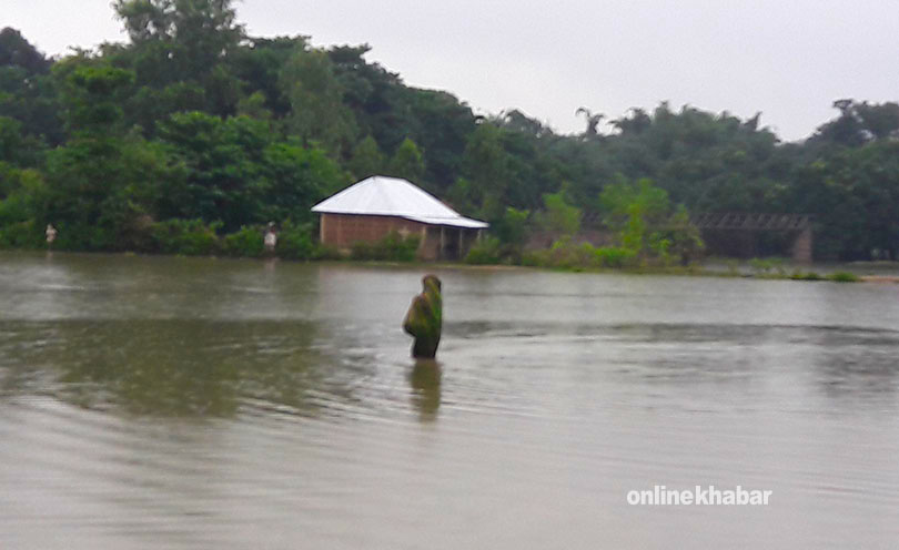 Saptari Flood (4)