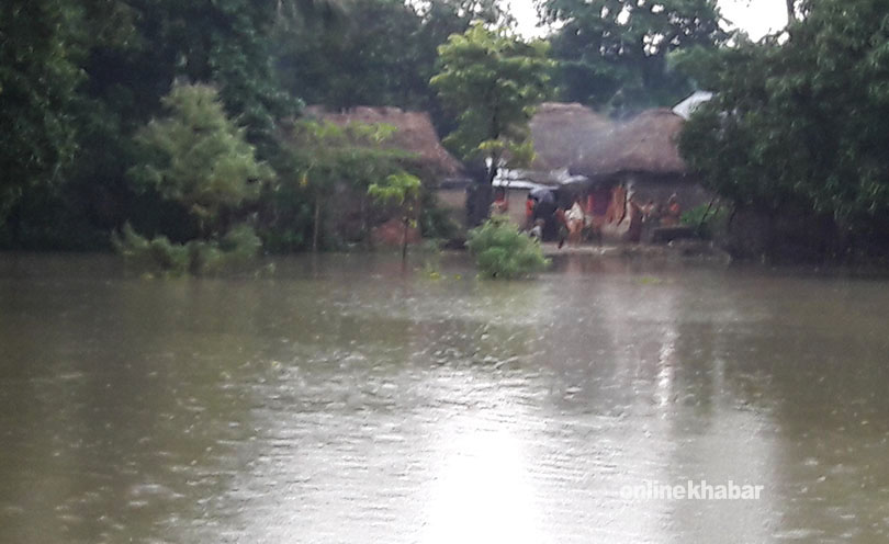 Saptari Flood (5)