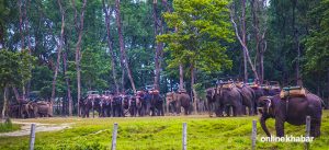 अङ्ग्रेजी नयाँ वर्षमा पनि आएनन् सौराहामा पर्यटक