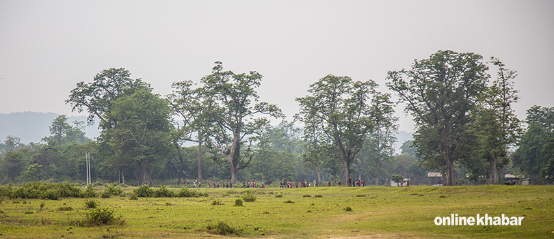 Chitwan Sauraha (13)