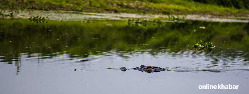 Chitwan Sauraha (3)