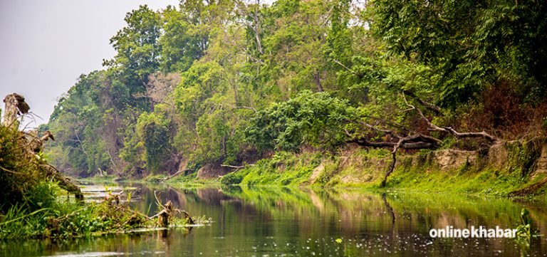 चितवनमा एक वर्षमा जङ्गली जनावरको आक्रमणमा २२ जनाको मृत्यु