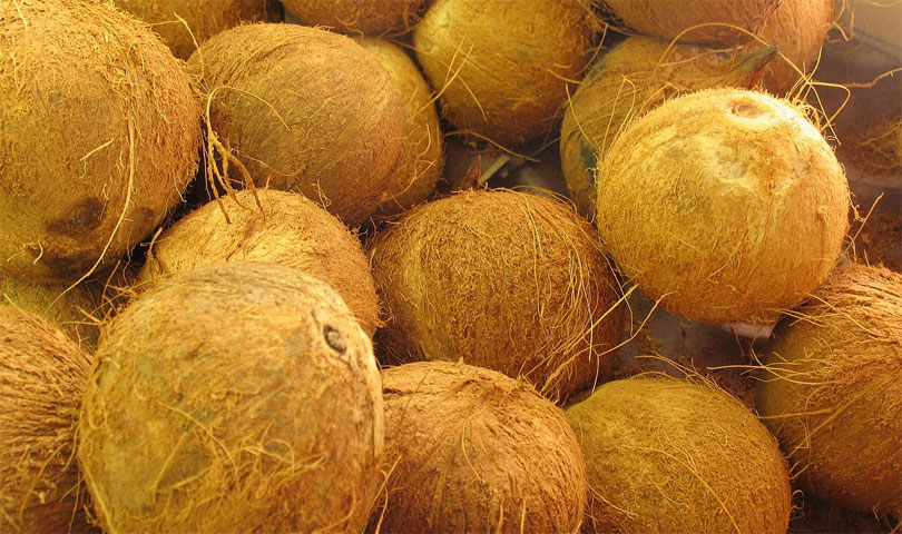 coconut-nariwal
