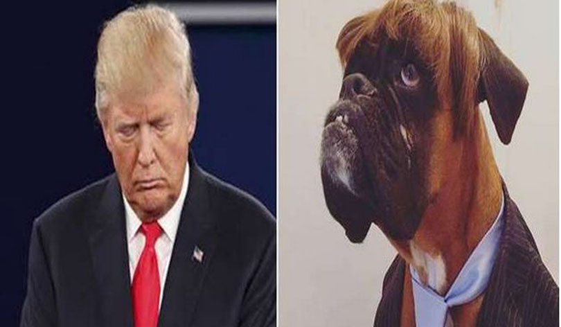 dog-trump
