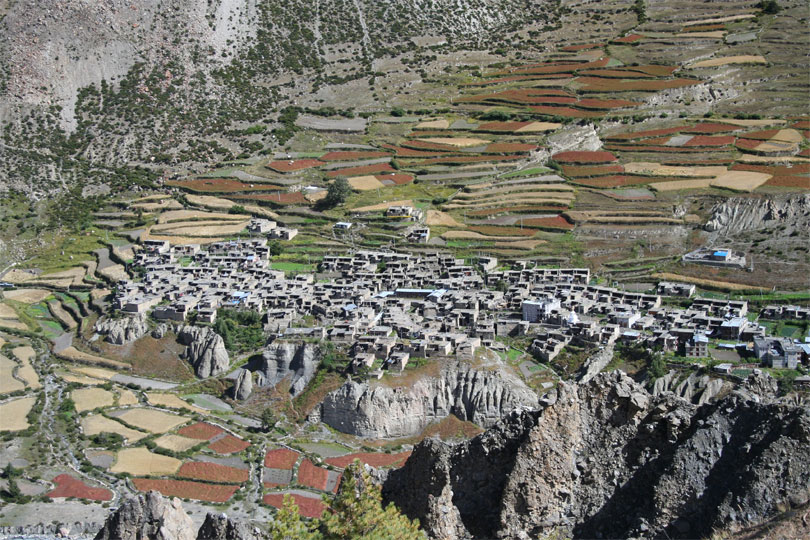 manang-2