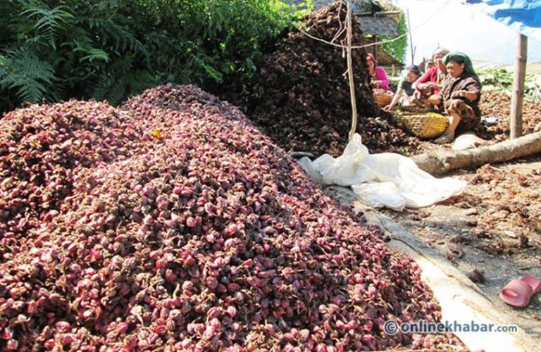 भारतीय नोट प्रतिबन्धले निर्यात घट्यो