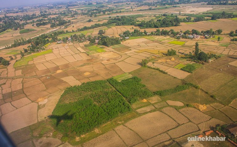 सुन्दर तराईको अद्भुत वसन्तलाई नियाल्दा