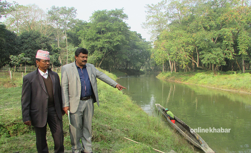 chitwan-forest