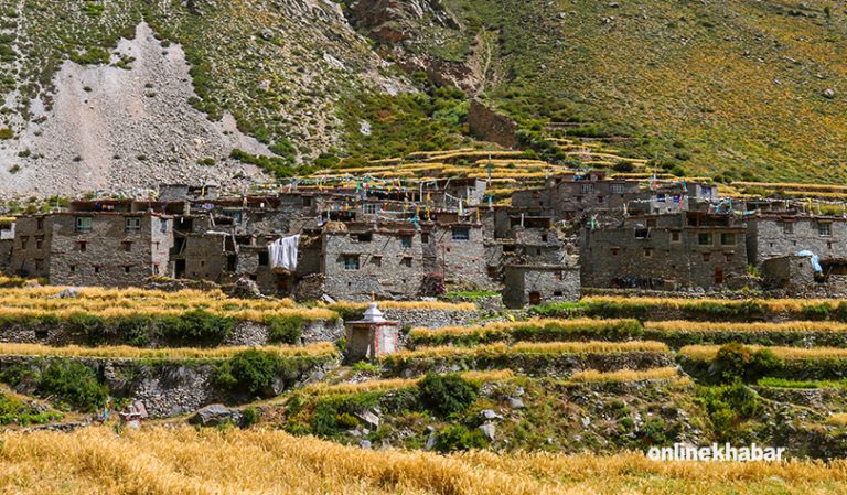 लिमीमा ३०० क्विन्टल चामल पठाइयो
