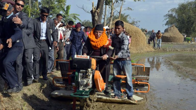 चिन्ता नगर्नोस्, अब पुसमा पनि रोपाइँ हुन थाल्यो !