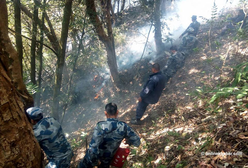 forest-ago-taplejung-4