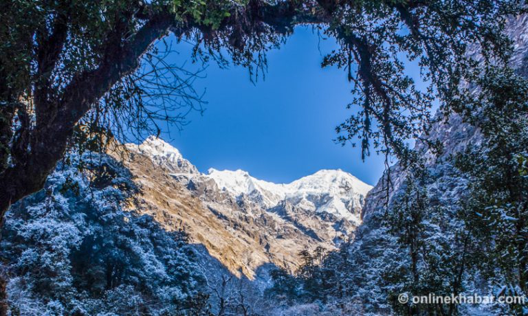 लाङटाङ जाने पर्यटकसँग अब गाइड अनिवार्य हुनुपर्ने