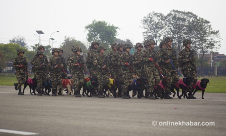 नेपाली सेनाको अधिकृत क्याडेट पदमा भर्ना खुल्यो