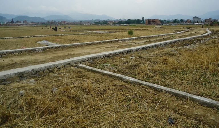 महामारीअघि जग्गाको मूल्य २६ प्रतिशतसम्म बढेको अध्ययनको निष्कर्ष