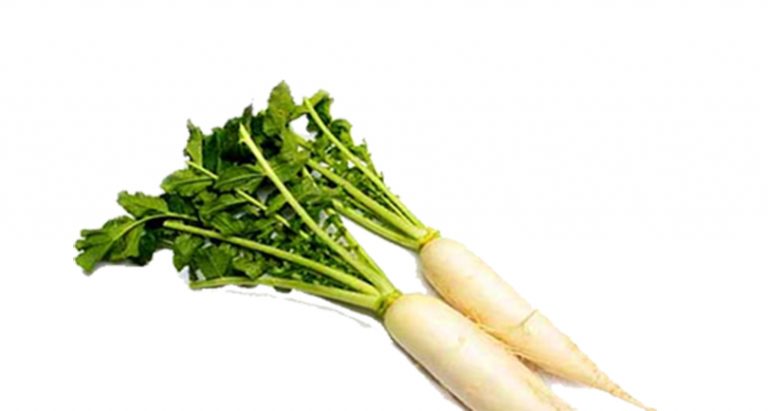 मुलाको भाउ बढ्यो, किलोको कति ?