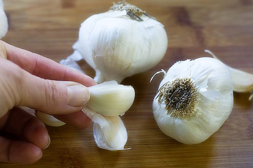 garlic garlic