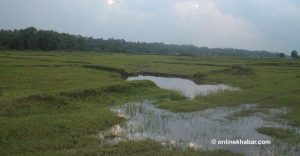 आयल निगमको अनियमितताः झापामा २३ करोड पर्ने जग्गा ५३ करोडमा किनियो