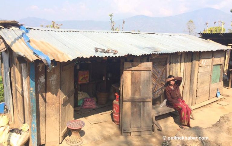 भूकम्पपीडितलाई चौध हजार क्युफिट काठ वितरण