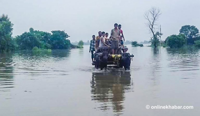 घरदेखि सडकसम्मः हेर्नुस् कैलालीका बाढीपीडितको बिजोग