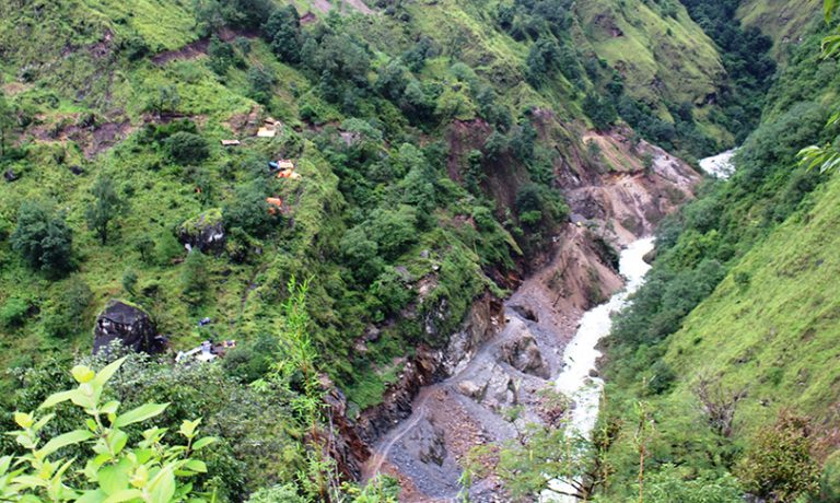 विकास आयोजनामा एउटा रुख काट्दा १० विरुवा रोपे पुग्ने