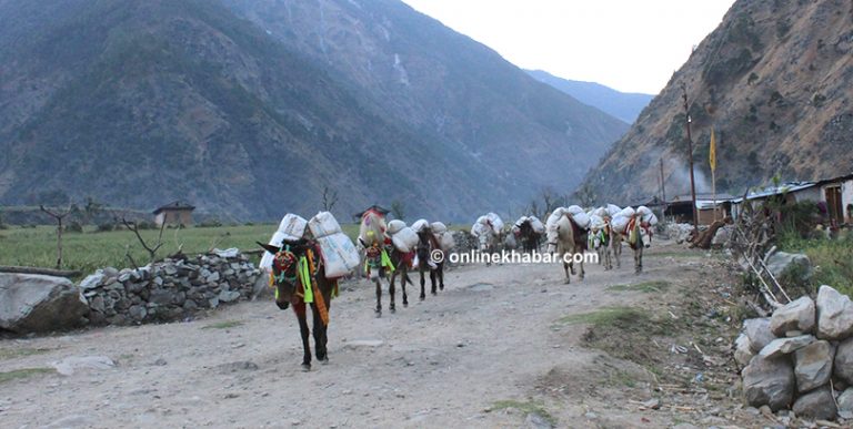 *डोल्पा सदरमुकाम बाहिरका सबै खाद्य डिपो रित्तै